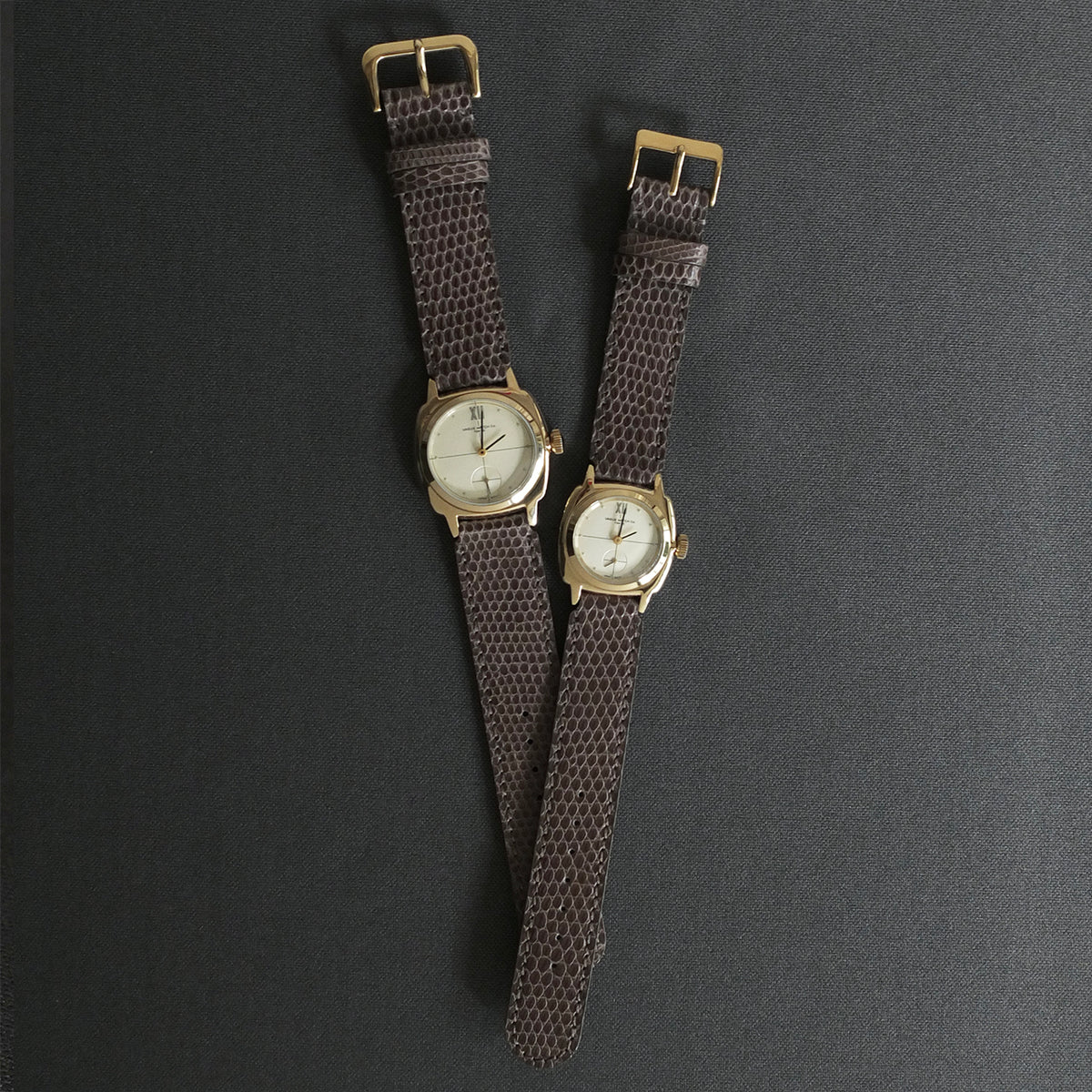 Coussin Sophie Dress Lizard – VAGUE WATCH Co